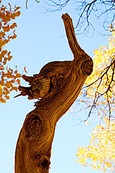 số bình dương