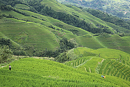 bạch thủ miền bắc 24 giờ