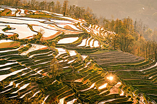 soi cầu bạch thủ 247