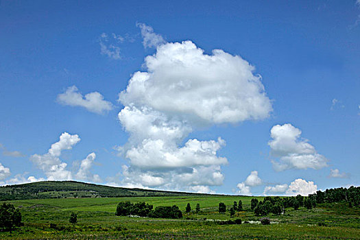 lo de gan