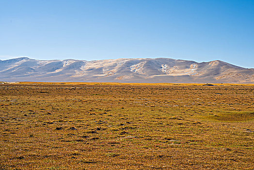 lo de chuan